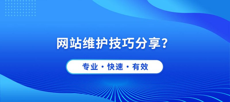 海南网站建设：趋势解读与策略选择